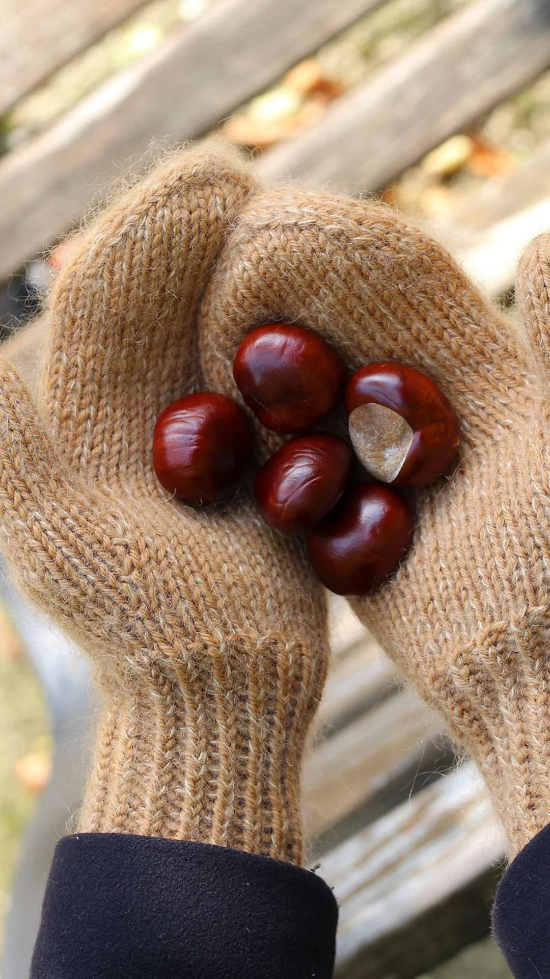 Basic Mittens - THE MERRY MERINO 110 & SILKY KID - Strickset