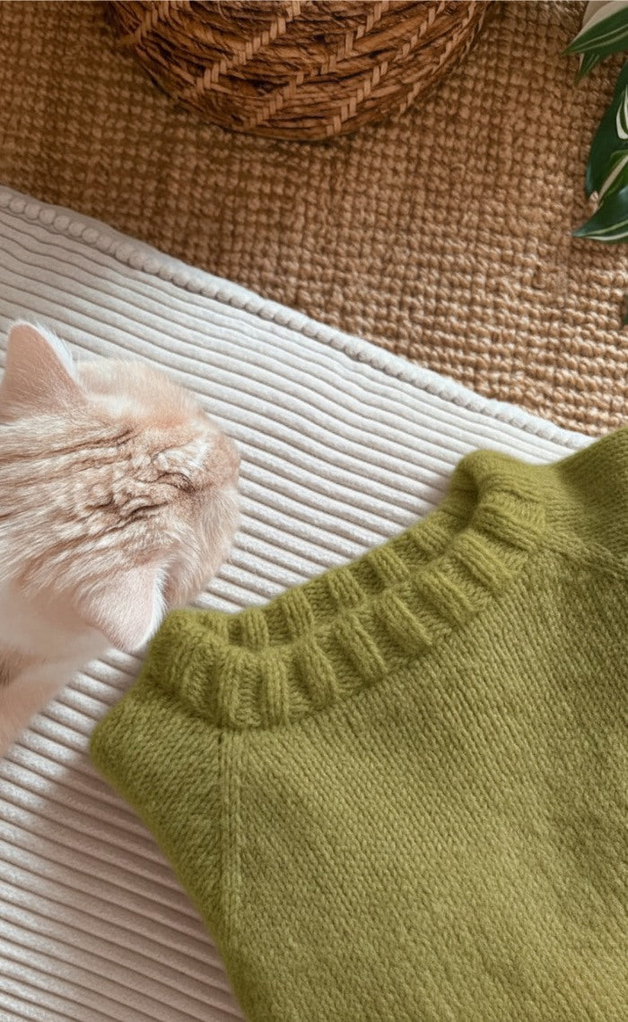 Sophomore Sweater - the perfect second knitting project kit