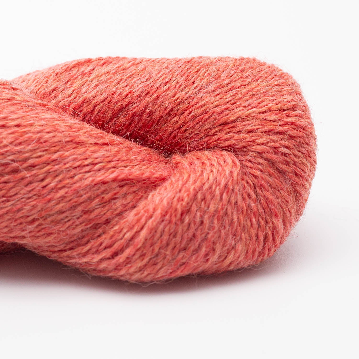 BC Garn - Babyalpaca 10/2 (RAS)