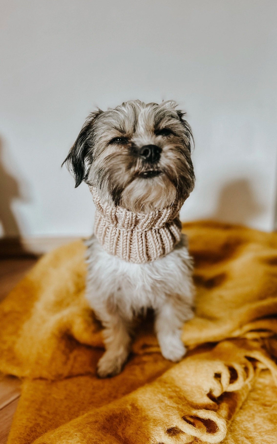 Hunde Loop-Schal - ANLEITUNG von OONIQUE jetzt online kaufen bei OONIQUE