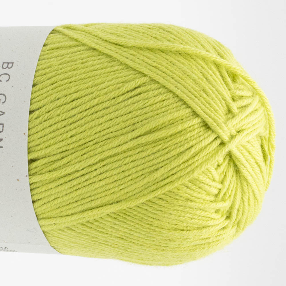 BC Yarn - Summer in Kashmir GOTS