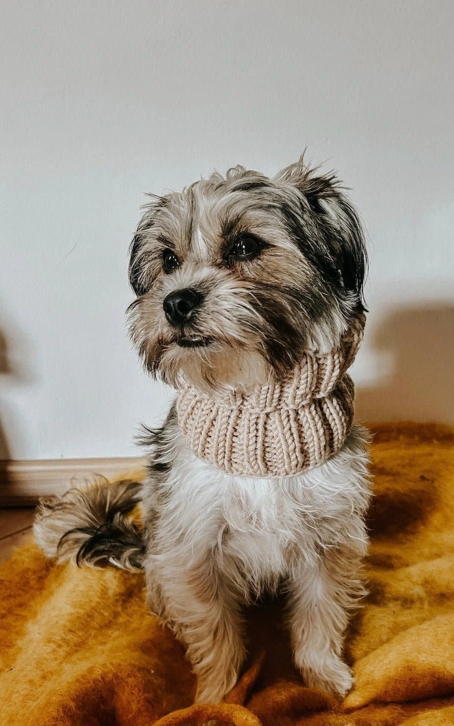 Hunde Loop-Schal - ANLEITUNG von OONIQUE jetzt online kaufen bei OONIQUE