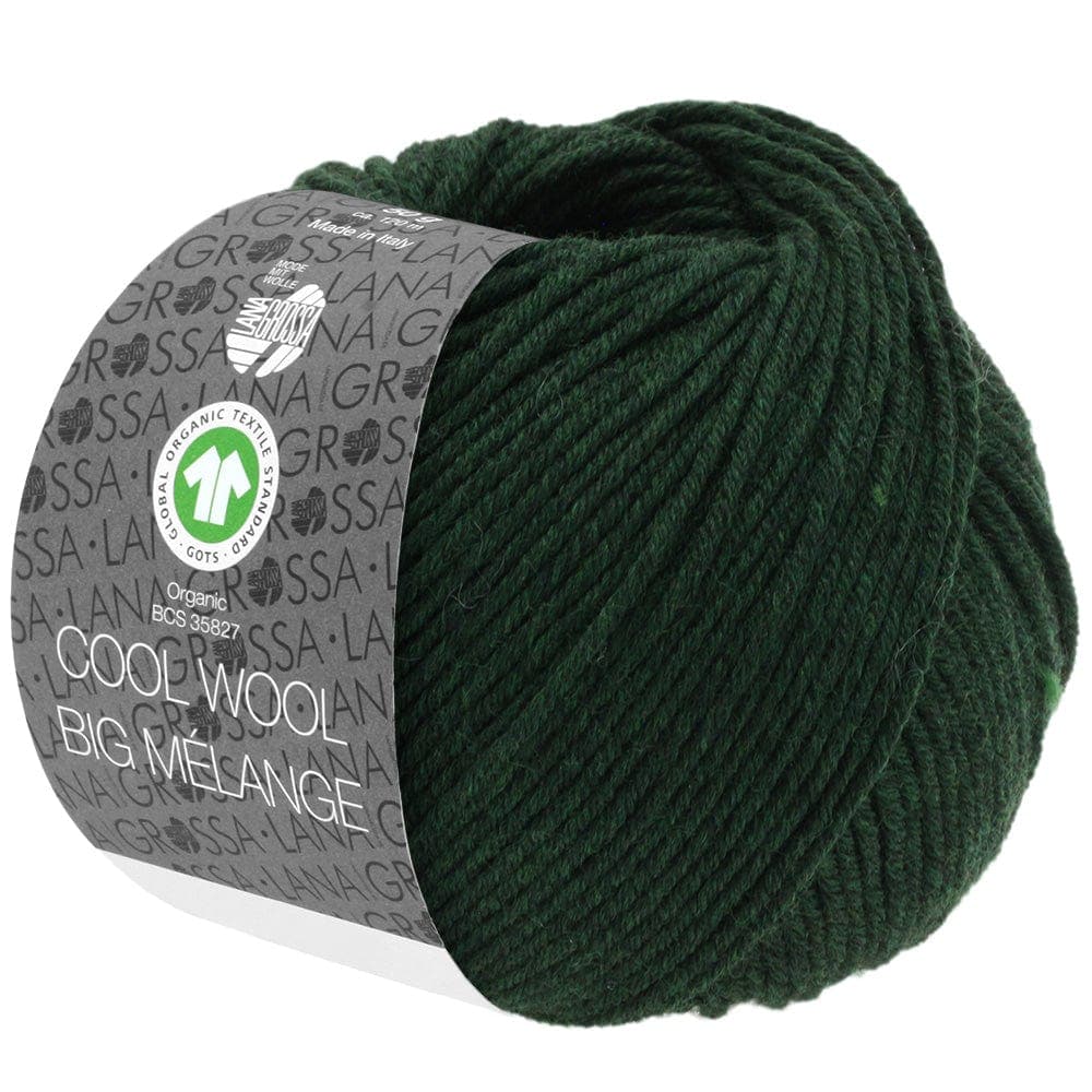 LANA GROSSA Garn 206 - Tanne meliert COOL WOOL BIG MÉLANGE GOTS