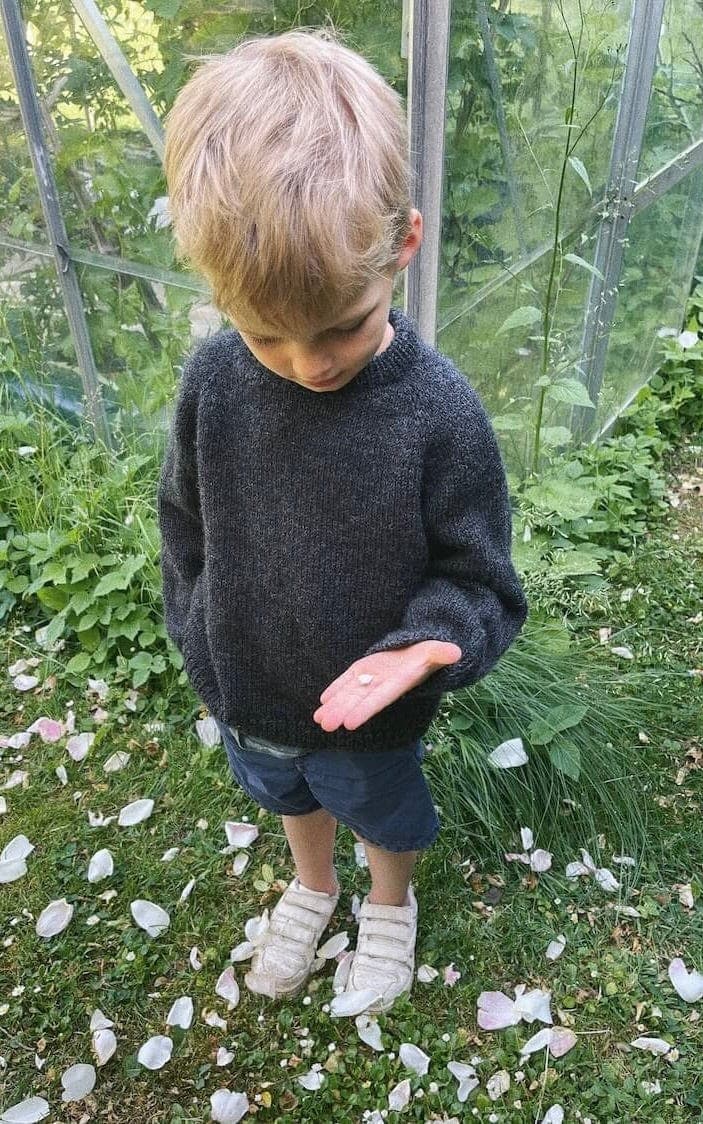 Hanstholm Sweater Junior - PEER GYNT - Strickset von PETITE KNIT jetzt online kaufen bei OONIQUE
