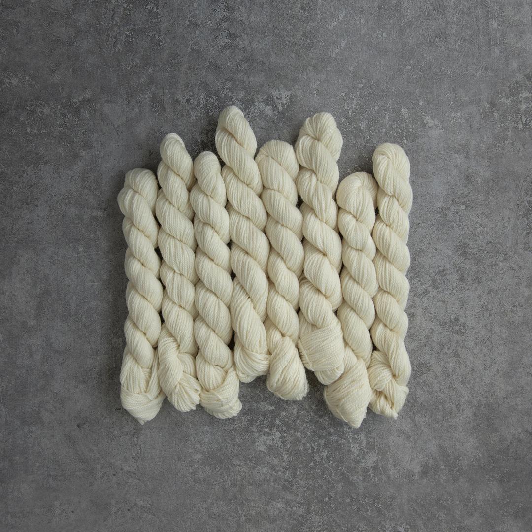 Daisy Minis -  zum selber Färben