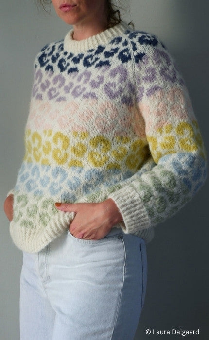 Rainbow Leo Sweater - KOS - Strickpaket