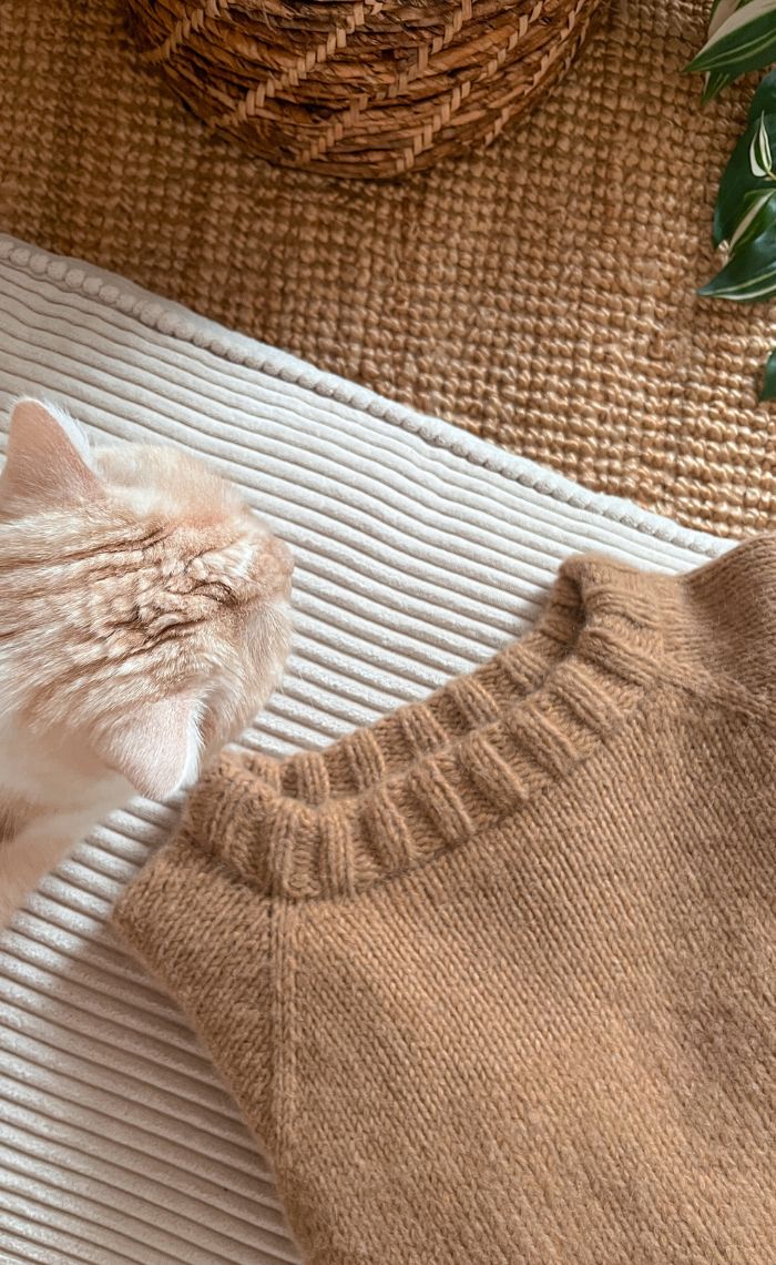 Sophomore Sweater - das perfekte zweite Strickprojekt-Set
